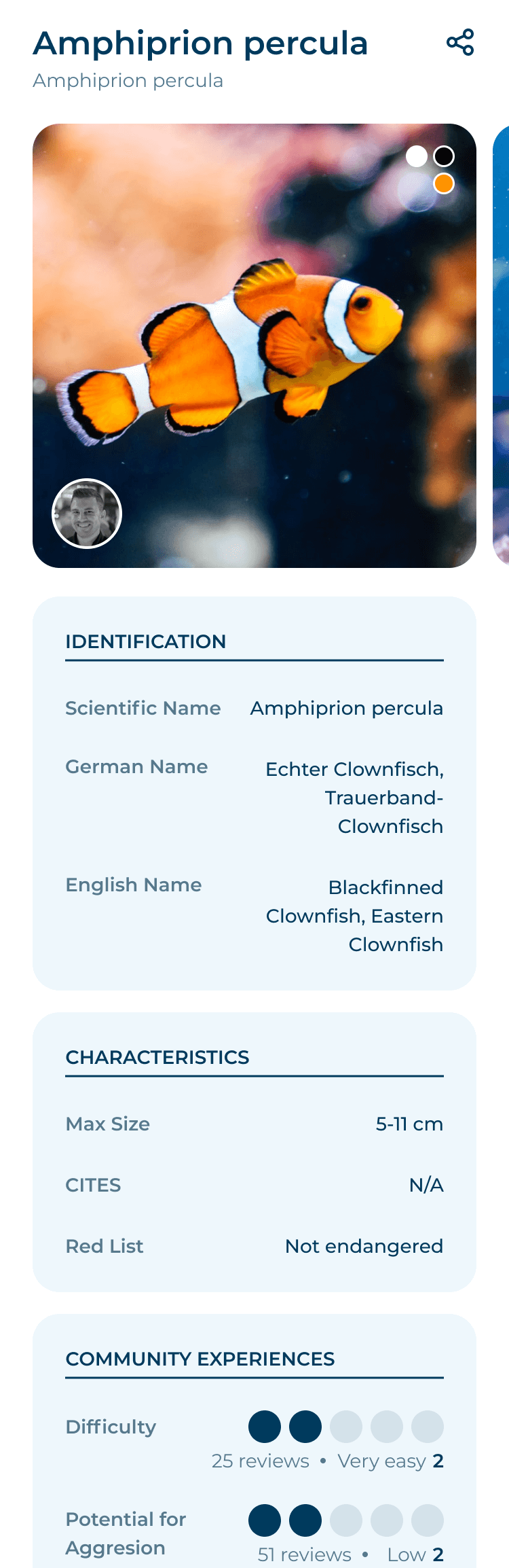 Card with image of orange fish