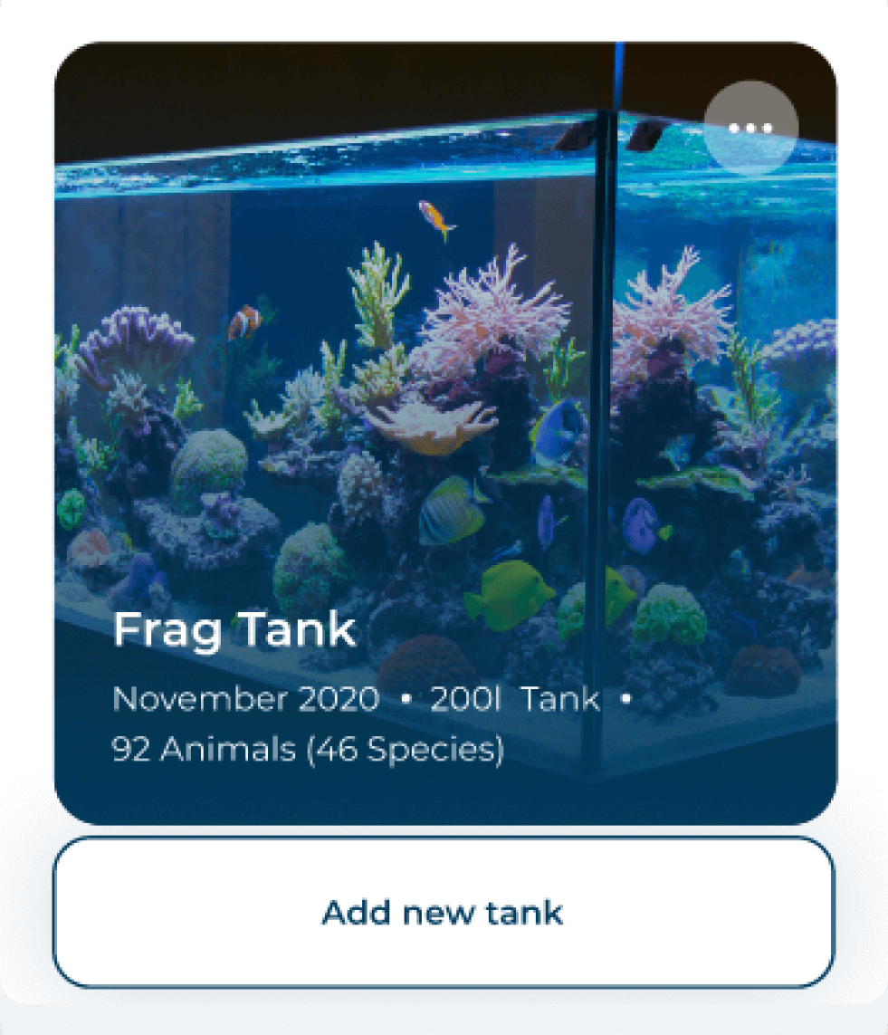 Card with image of orange fish